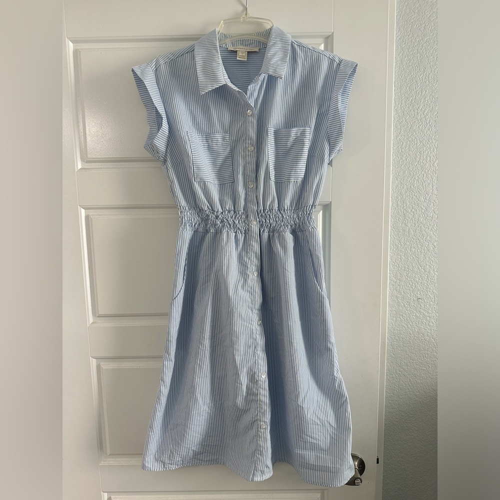 Monteau Striped Dress